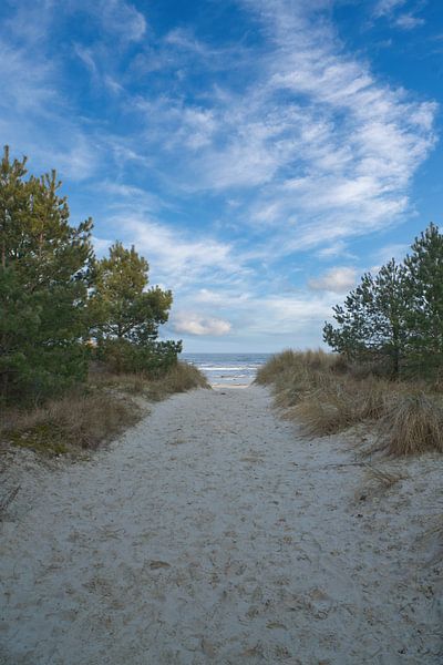 Strandübergang auf Usedom mit Blick auf die Ostsee von Martin Köbsch