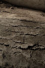 Abstrakter Realismus