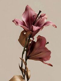 Dried flowers on natural clear background beige by Esmeé Kiewiet