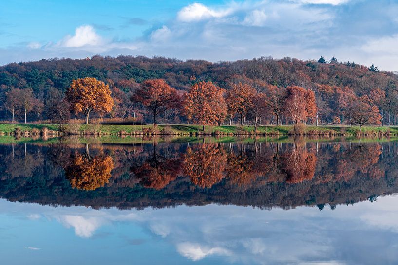 De laatste herfstkleuren van Diana Venis-Kerkhoven