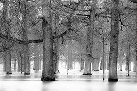 Wet feet by Jose Gieskes