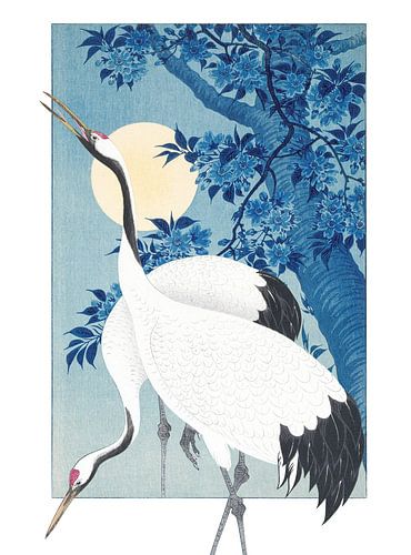 Cranes in a moonlit Night