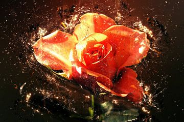 Summer rose in love van Dagmar Marina