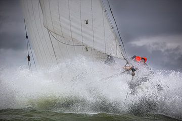 Lemsteraak en action