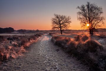 Zonsopkomst Wekeromsezand van Monica de Jong