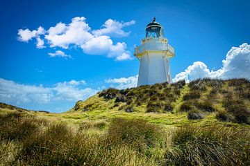 Lighthouse at Waipapa Point, Southland, New Zealand by Rietje Bulthuis
