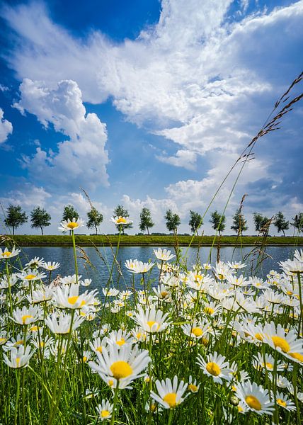 Natur von Jolanda Bosselaar