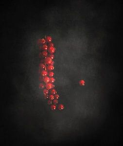 Johannisbeeren auf schwarz