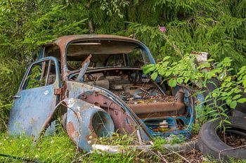 Beetle felled by nature