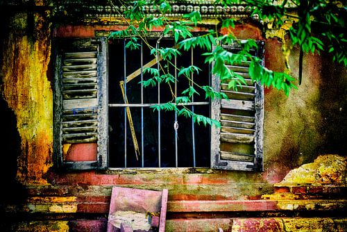  'Bewilderment' (state of being confused and puzzled)