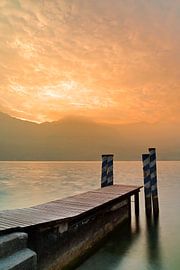 Alba sur Thomas Herzog