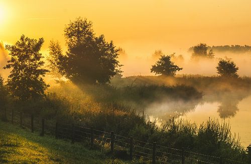 mistig landschap holland