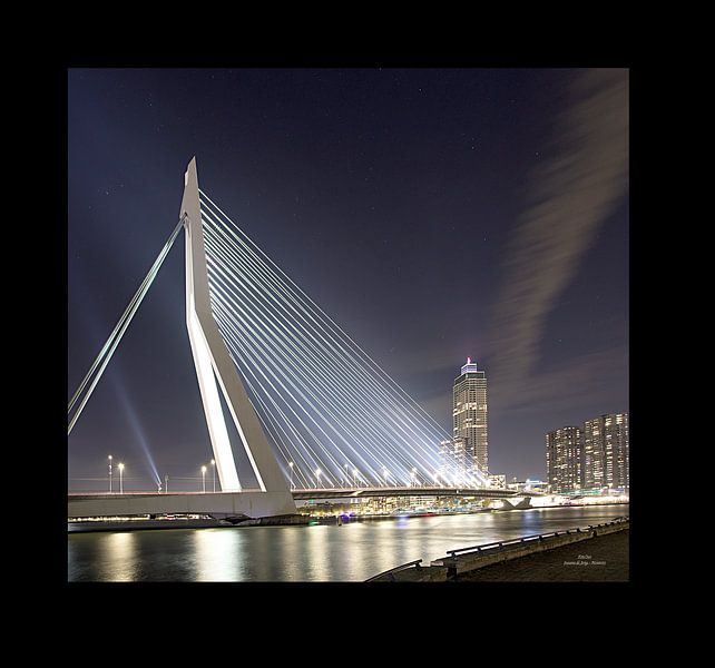 Pont Erasmus par Susana de Jong - Monteiro
