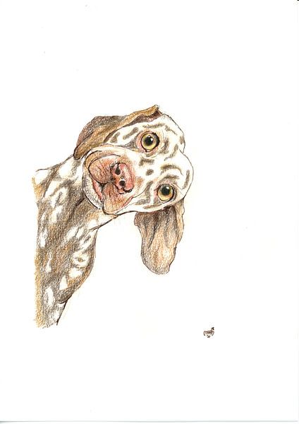 Peekaboo! by Marian van der Veen-Niemeijer