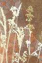 Abstrait Retro Botanique. Fleurs et herbe en jaune, terracotta, beige, marron. par Dina Dankers Aperçu