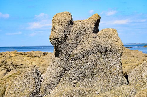 Schreeuw naar de lucht: rots aan de Côte Sauvage