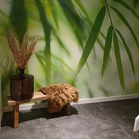 Kundenfoto: Bambus von Birgitte Bergman, auf fototapete
