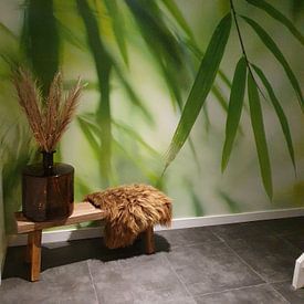 Customer photo: Bamboo by Birgitte Bergman, as wallpaper