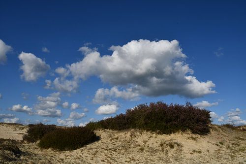 Zandverstuiving met heide en wolken