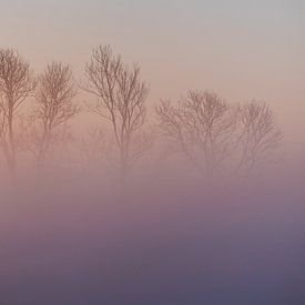 Künstliche geheimnisvolle Bäume versteckt in rosa Nebel von Susanne Ottenheym