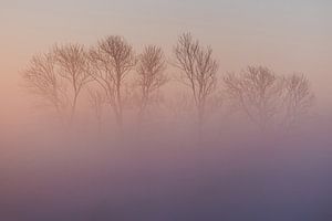 Künstliche geheimnisvolle Bäume versteckt in rosa Nebel von Susanne Ottenheym