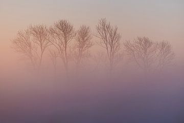 Künstliche geheimnisvolle Bäume versteckt in rosa Nebel von Susanne Ottenheym