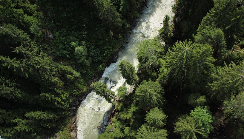Fluss durch Nadelwald von Marije Zwart