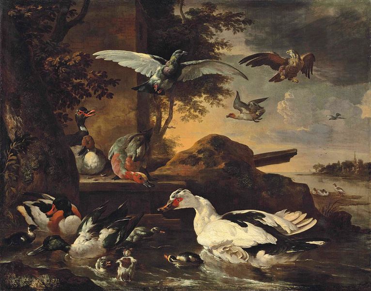  Srockenten, Pochards und andere Wasservögel, Melchior de Hondecoeter von Meisterhafte Meister