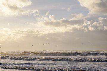 Strandleven! van Dirk van Egmond