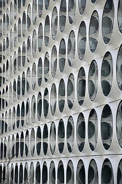 Bollenmuur van Ria Scheewe