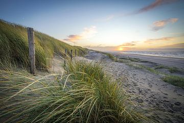 Dunes et plage sur la côte des Pays-Bas sur Dirk van Egmond