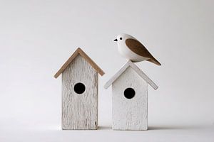 Zwei Häuser und ein Vogel