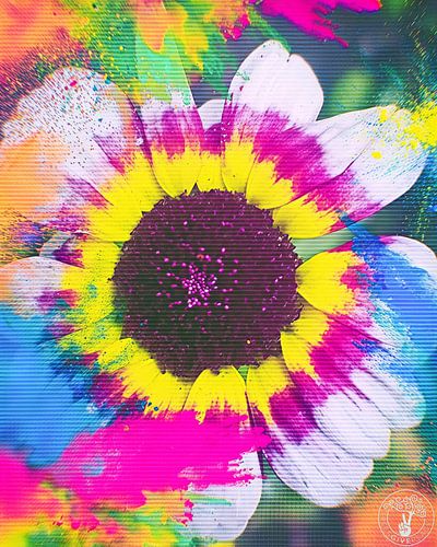 Summer of 2025 Colours