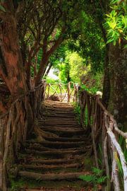 Rustic stairs by Thomas Herzog