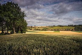 Getreidescheune Ransdalerveld von Rob Boon