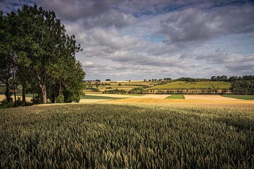 Grange à grains Ransdalerveld