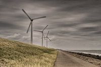 Windturbines op dijk