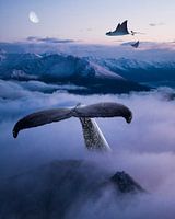 Skylife