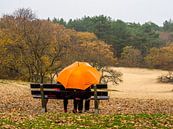 Oranje Paraplu van Martijn Tilroe thumbnail