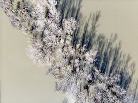 dessin avec des arbres partie 3 sur Lex Scholten