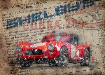 Newspaper Shelby Cobra 289 by Theodor Decker
