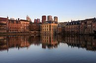 Skyline van Den Haag met Mauritshuis, Torentje en het Binnenhof met reflectie van iPics Photography thumbnail