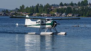 Gelandete De Havilland Canada DHC-2 Beaver.