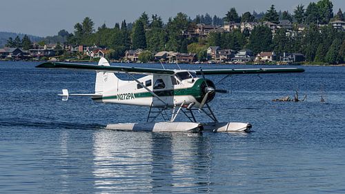 Gelande De Havilland Canada DHC-2 Beaver.