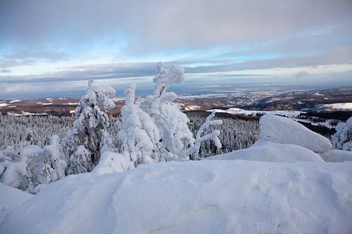 Uitzicht vanaf de Leistenklippe in de richting van Wernigerode (Harz)