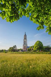 Die Cunerakerk in sommerlichen Farben von Friso Schinkel