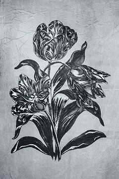 Tulipe en noir et blanc. sur Alie Ekkelenkamp