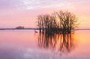 Tusschenwater - De Groeve (Niederlande) von Marcel Kerdijk