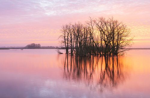 Tusschenwater - De Groeve (Nederland)