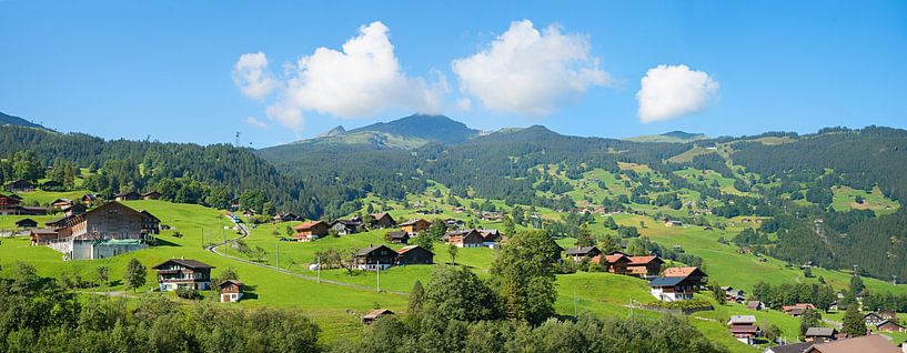 station touristique de Grindelwald, pente verte avec maisons et par SusaZoom